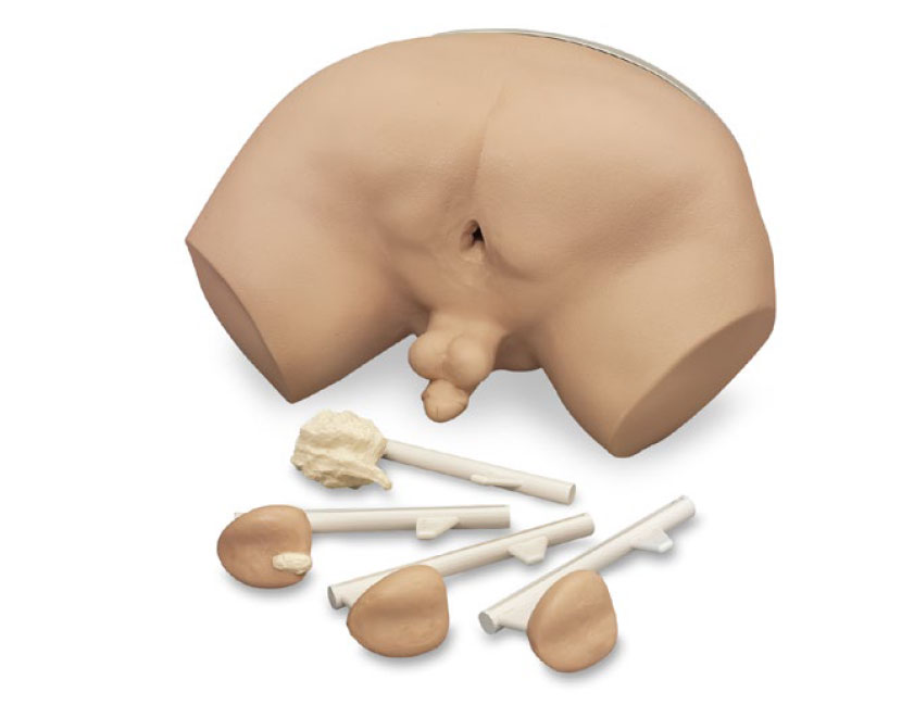 Prostatauntersuchungs-Simulator
